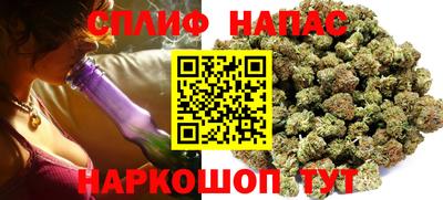тгк Славгород