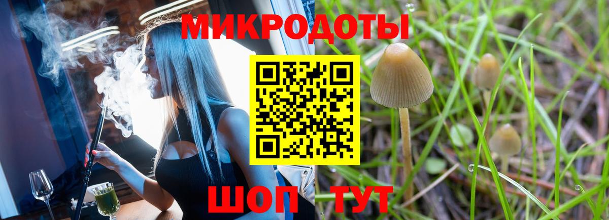 Прокопьевск  Псилоцибиновые грибы ЛСД  Вход с VPN  Галлюциногенные грибы прущие грибы 
